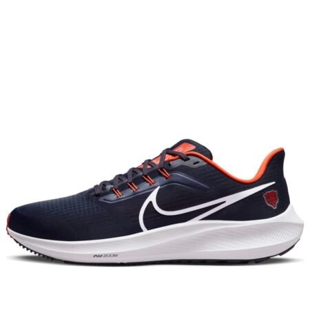 Nike Air Zoom Pegasus 39 x NFL 'Chicago Bears' DR2034-400