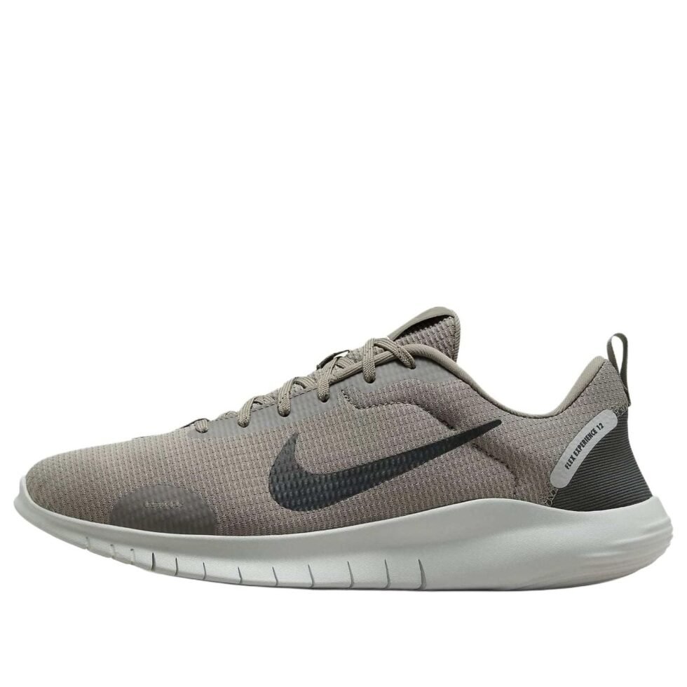 Nike Flex Experience Run 12 'Light Army Silver' DV0740-300