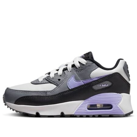 (PS) Nike Air Max 90 LTR 'Light Thistle' DV3608-001