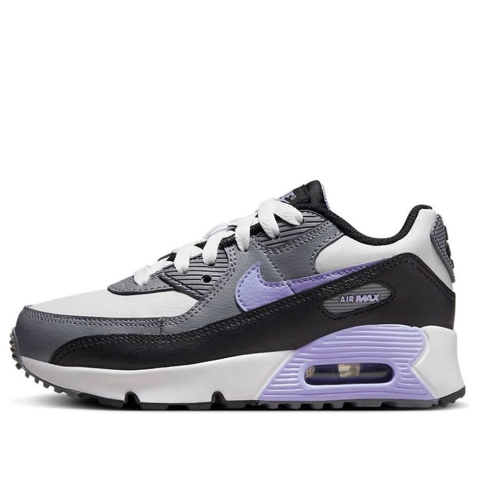 (PS) Nike Air Max 90 LTR 'Light Thistle' DV3608-001