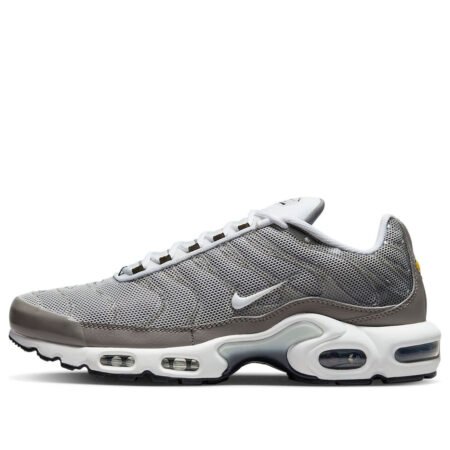 Nike Air Max Plus SE 'Flat Pewter' DV7665-002