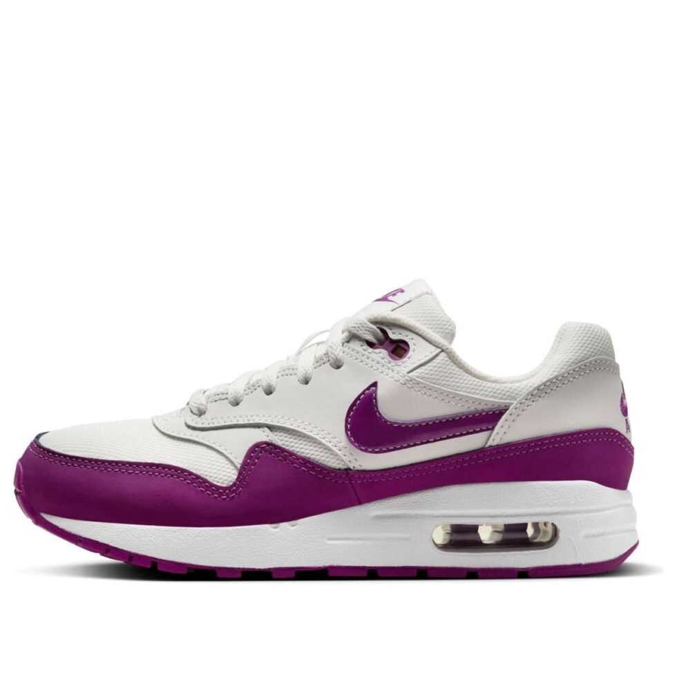 (GS) Nike Air Max 1 'Summit White Viotech' DZ3307-109