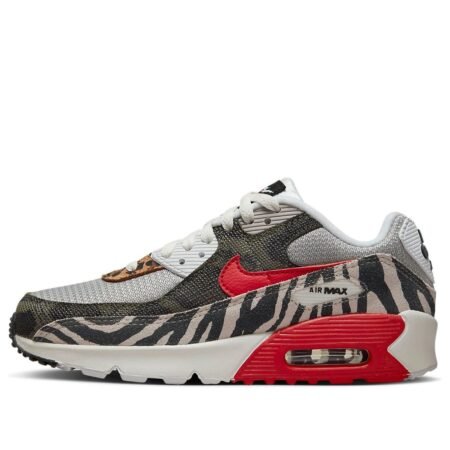 (GS) Nike Air Max 90 'Tunnel Walk' DZ4844-001