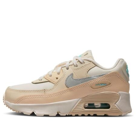 (PS) Nike Air Max 90 Leather 'Phantom Shimmer' DZ5319-001