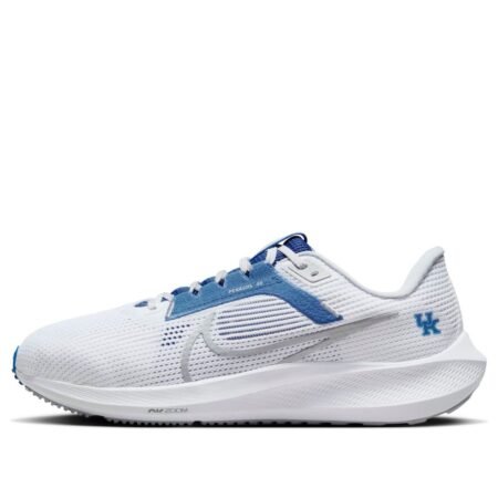 Nike Air Zoom Pegasus 40 'Kentucky' DZ5986-100