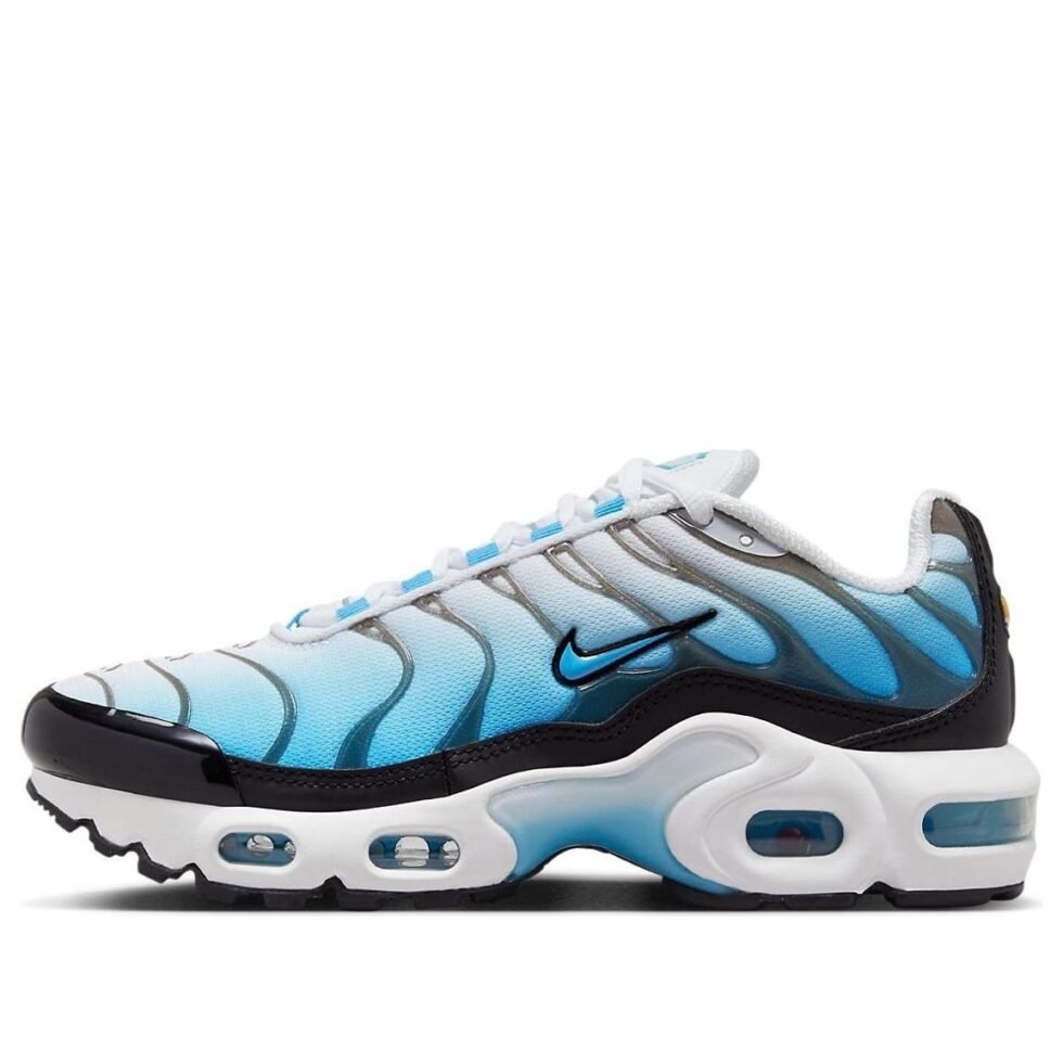 (GS) Nike Air Max Plus 'Ice' FD9767-100