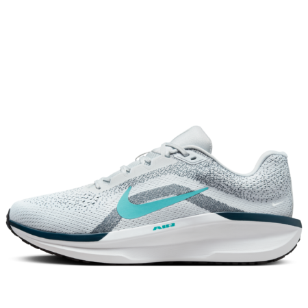 Nike Winflo 11 'Pure Platinum Dusty Cactus' FJ9509-004