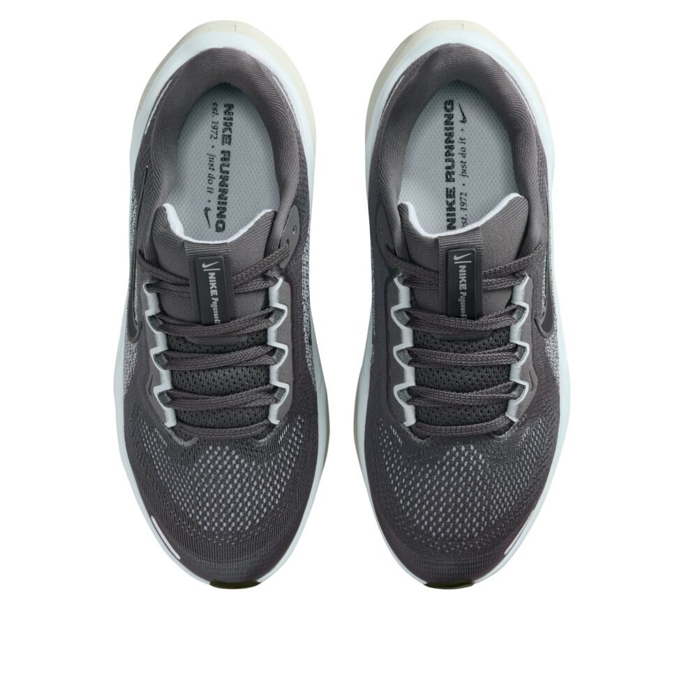 (GS) Nike Air Zoom Pegasus 41 'Medium Ash Pale Ivory Black' FN5041-201 - Image 2