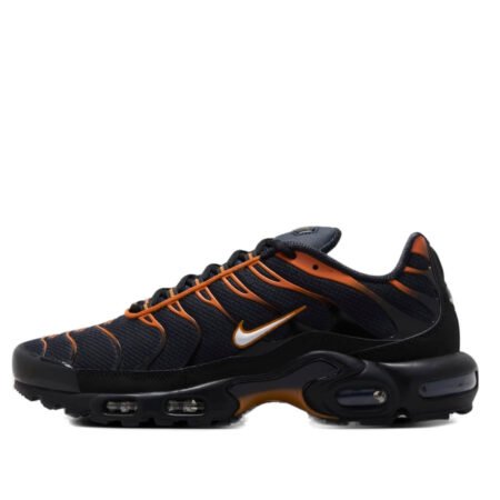Nike Air Max Plus 'Dark Obsidian Monarch' FN6949-400