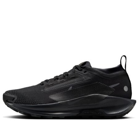(WMNS) Nike Pegasus Trail 5 Gore-Tex 'Black Anthracite' FQ0912-002