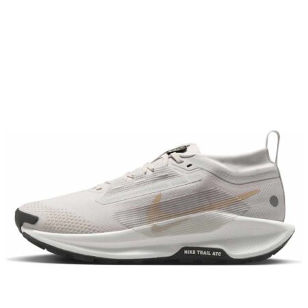 (WMNS) Nike Pegasus Trail 5 GORE-TEX 'Vast Grey' FQ0912-008