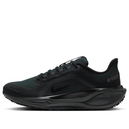 Nike Air Zoom Pegasus 41 Gore-Tex 'Black Anthracite' FQ1356-001