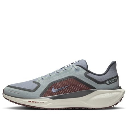Nike Air Zoom Pegasus 41 Gore-Tex 'Light Pumice Ashen Slate Burgundy' FQ1356-003