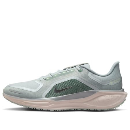 Nike Air Zoom Pegasus 41 Gore-Tex 'Light Pumice Metallic Silver' FQ1356-007