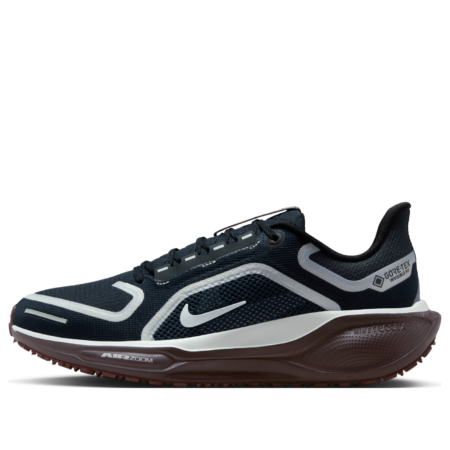 (WMNS) Nike Air Zoom Pegasus 41 Gore-Tex 'Black' FQ1357-401