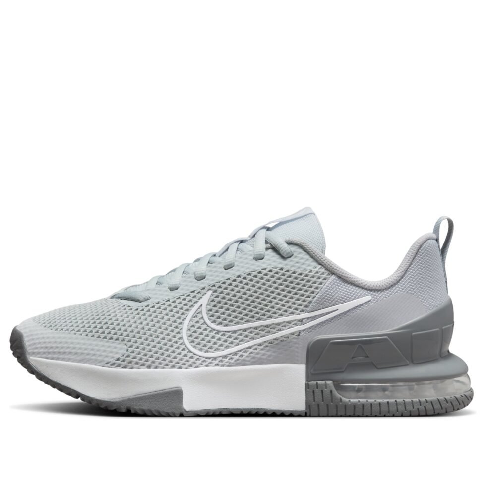 Nike Air Max Alpha Trainer 6 'Cool Grey White' FQ1833-002