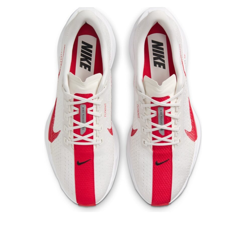 Nike Air Zoom Pegasus Plus 'Platinum Tint University Red' FQ7262-003 - Image 2