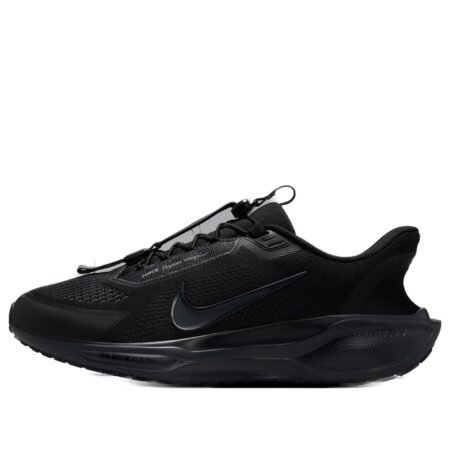 Nike Air Zoom Pegasus 41 EasyOn 'Black Anthracite' FQ7837-001