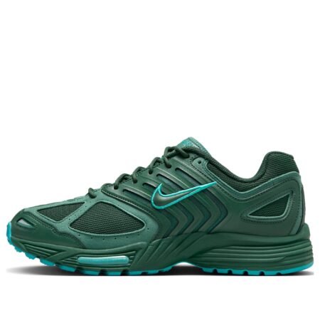 Nike Air Pegasus 2K5 'Fir Bicoastal' FZ7354-300