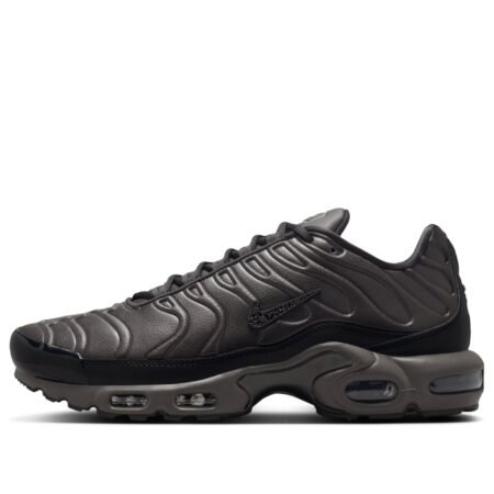 Nike Air Max Plus Premium 'Black Tea Petra Brown' HJ4519-200