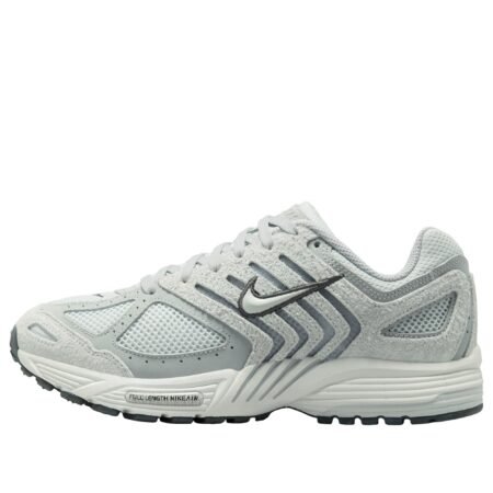 (WMNS) Nike Air Pegasus 2005 'Wolf Grey Pure Platinum' HJ5271-001