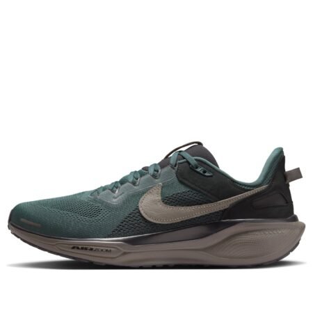 Nike Air Zoom Pegasus 41 'Faded Spruce' HQ6025-300