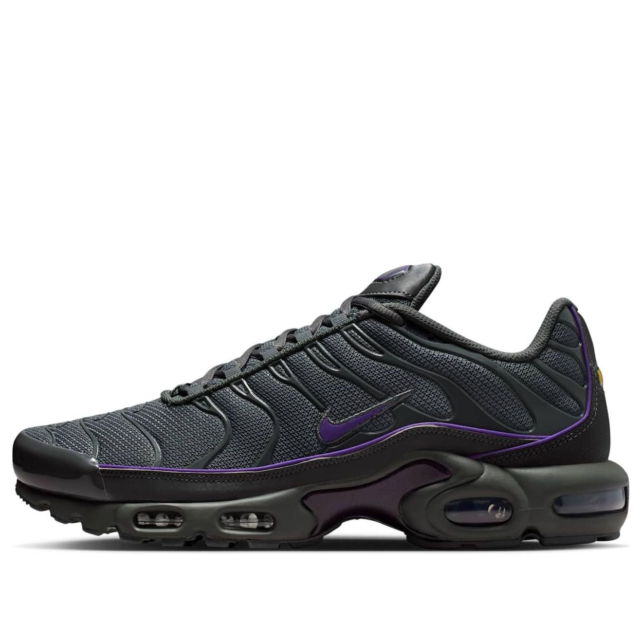Nike Air Max Plus 'Iron Grey Wild Grape' HV8066-001