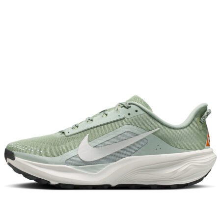 Nike ACG Pegasus Trail 'Jade Horizon Light Silver' HV8116-310