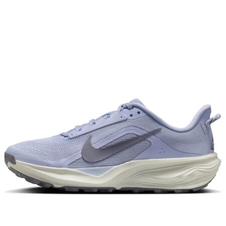 (WMNS) Nike ACG Pegasus Trail 'Ghost Mineral Slate' HV8121-003