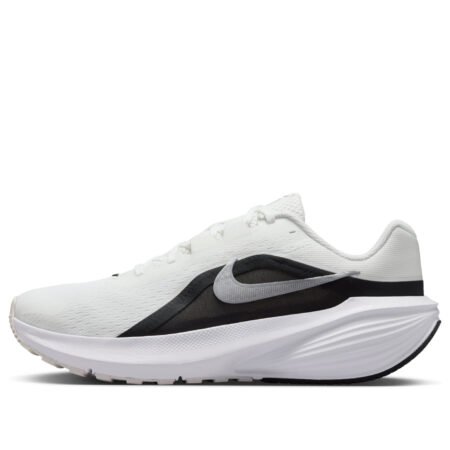 Nike Downshifter 14 'Summit White Silver Black' IB1895-107