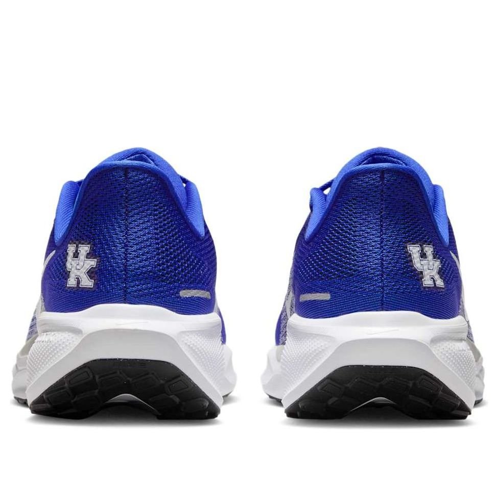 Nike x NCAA Pegasus 41 'Kentucky' IB3266-400 - Image 3