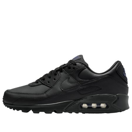 Nike Air Max 90 'Dark Smoke Grey Sanded Purple' IF5446-001