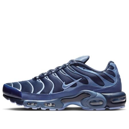 Nike Air Max Plus 'Obsidian Aluminum' IM6601-451