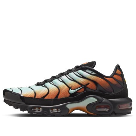 Nike Air Max Plus OG Premium 'Monarch Black' IQ0168-900