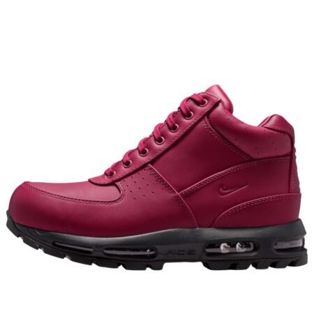 Nike Air Max Goadome 'DMV' IQ0610-633