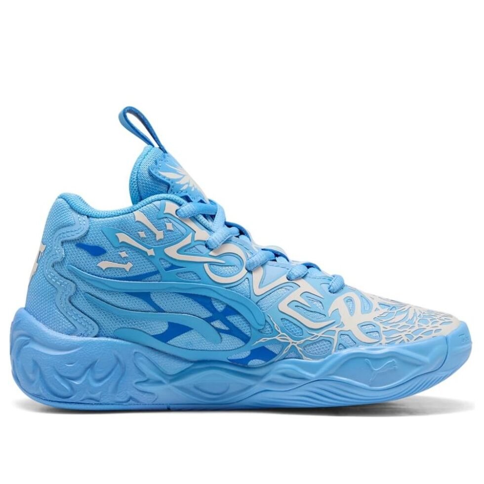 (PS) PUMA MB.04 'LaFrance' 310903-01 - Image 2