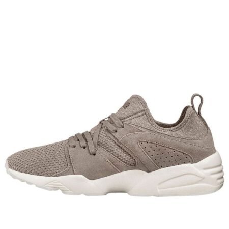 PUMA Blaze Ct Grey 363749-02