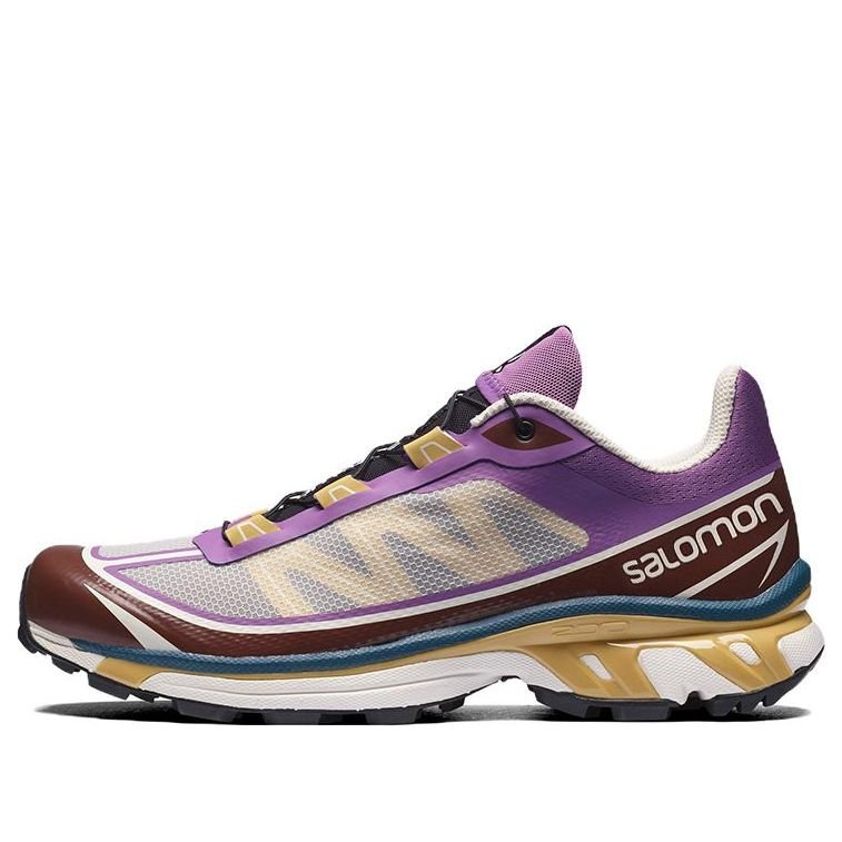 Salomon XT-6 Ft 'Grey Purple Brown' 414706