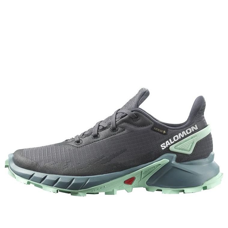 (WMNS) Salomon Alphacross 4 Gore-Tex 470668