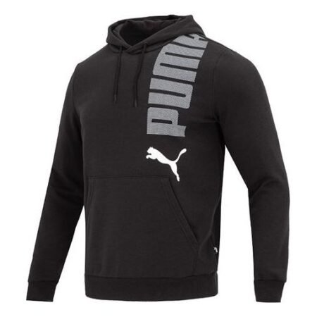 PUMA Essentials Logolab Hoodie 'Black' 675685-01