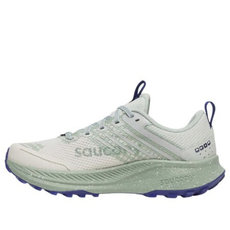 (WMNS) Saucony Ride TR2 GTX 'Quartz Mist' S10953-260